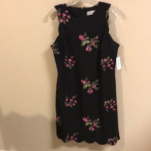 DressBarn Jones Studio black sleeveless dress